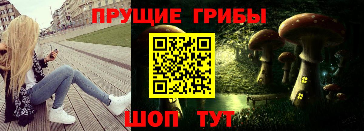 Галлюциногенные грибы GOLDEN TEACHER  Галлюциногенные грибы прущие грибы  Вход с VPN  Дзержинский 